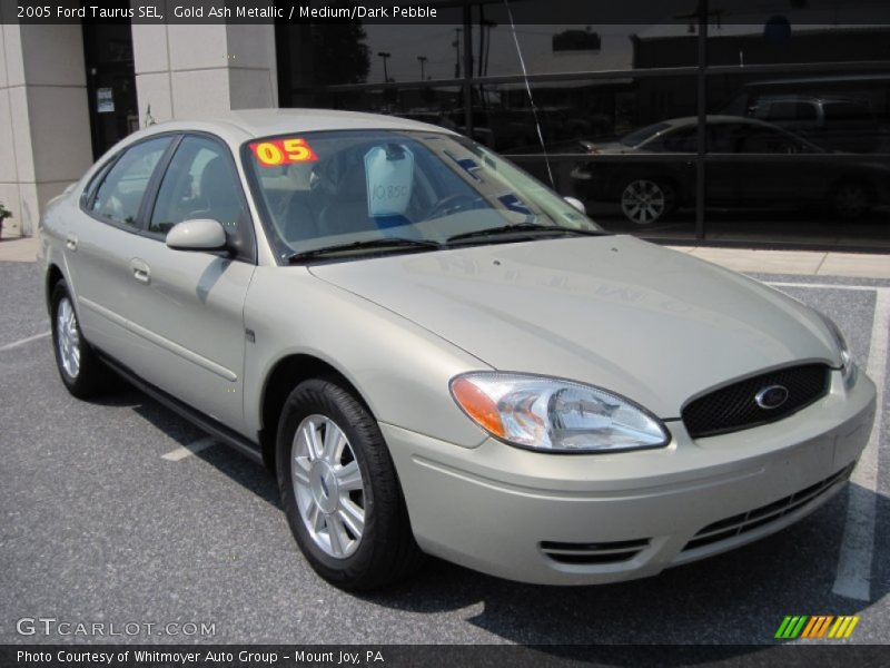 Gold Ash Metallic / Medium/Dark Pebble 2005 Ford Taurus SEL