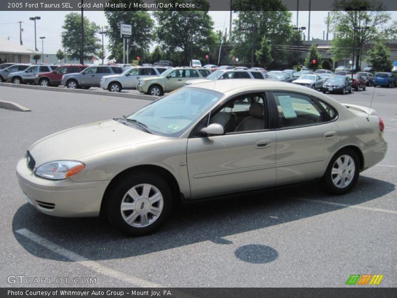 Gold Ash Metallic / Medium/Dark Pebble 2005 Ford Taurus SEL