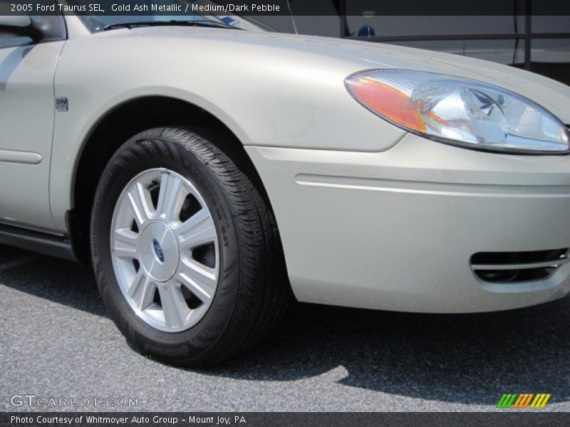 Gold Ash Metallic / Medium/Dark Pebble 2005 Ford Taurus SEL