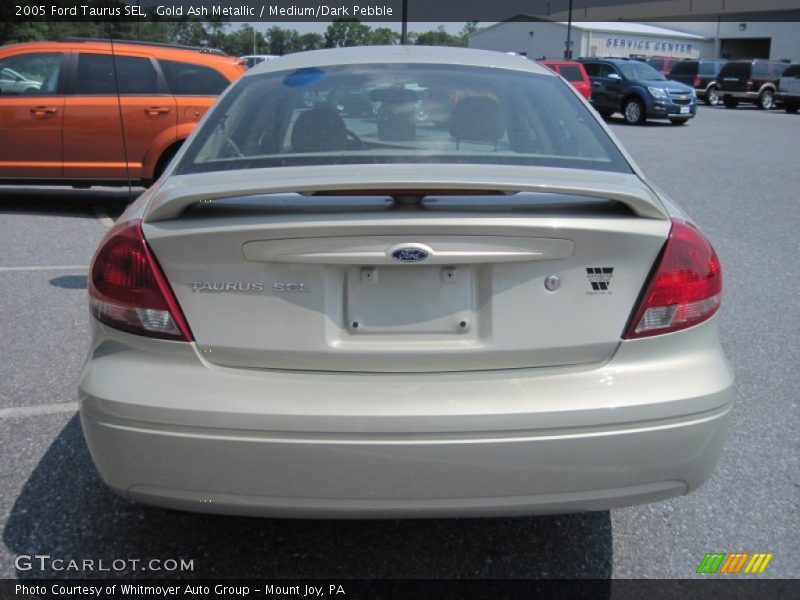 Gold Ash Metallic / Medium/Dark Pebble 2005 Ford Taurus SEL