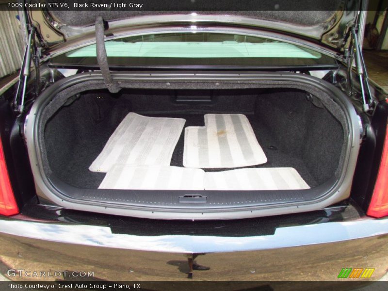 Black Raven / Light Gray 2009 Cadillac STS V6