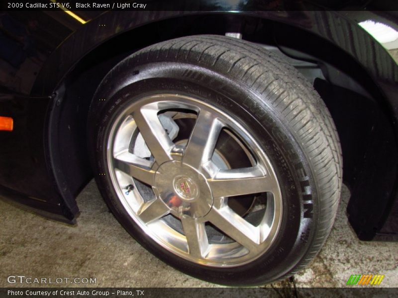 Black Raven / Light Gray 2009 Cadillac STS V6