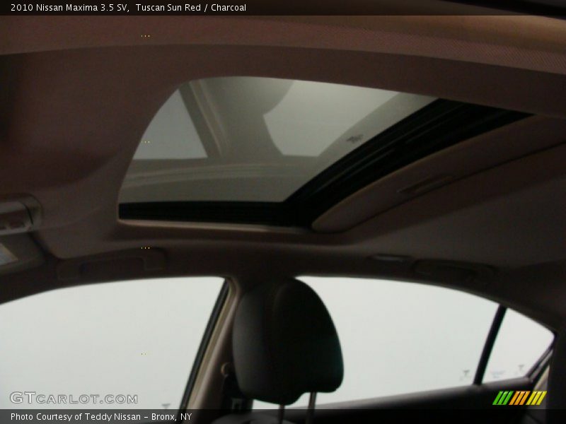 Tuscan Sun Red / Charcoal 2010 Nissan Maxima 3.5 SV