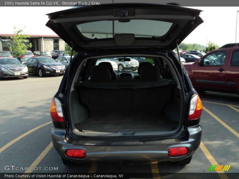 Obsidian Black / Gray 2001 Hyundai Santa Fe GLS V6