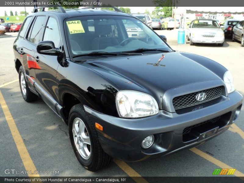 Obsidian Black / Gray 2001 Hyundai Santa Fe GLS V6