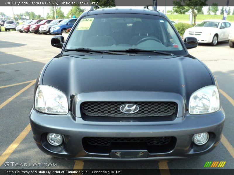 Obsidian Black / Gray 2001 Hyundai Santa Fe GLS V6