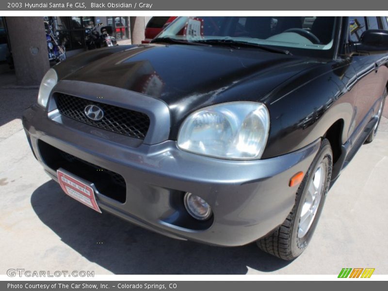 Black Obsidian / Gray 2003 Hyundai Santa Fe GLS