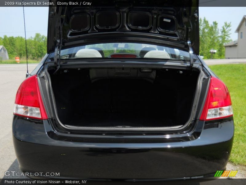 Ebony Black / Gray 2009 Kia Spectra EX Sedan
