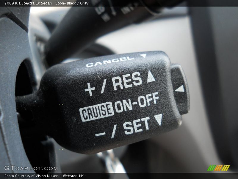 Ebony Black / Gray 2009 Kia Spectra EX Sedan