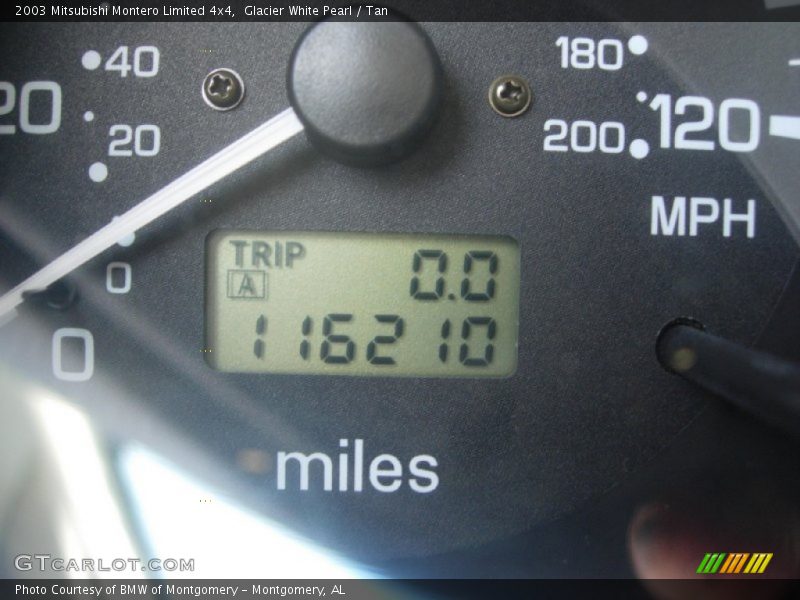 Glacier White Pearl / Tan 2003 Mitsubishi Montero Limited 4x4