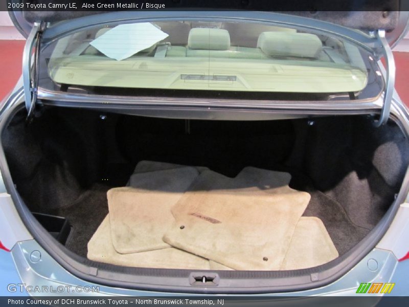 Aloe Green Metallic / Bisque 2009 Toyota Camry LE