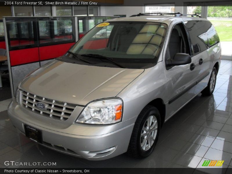 Silver Birch Metallic / Flint Grey 2004 Ford Freestar SE