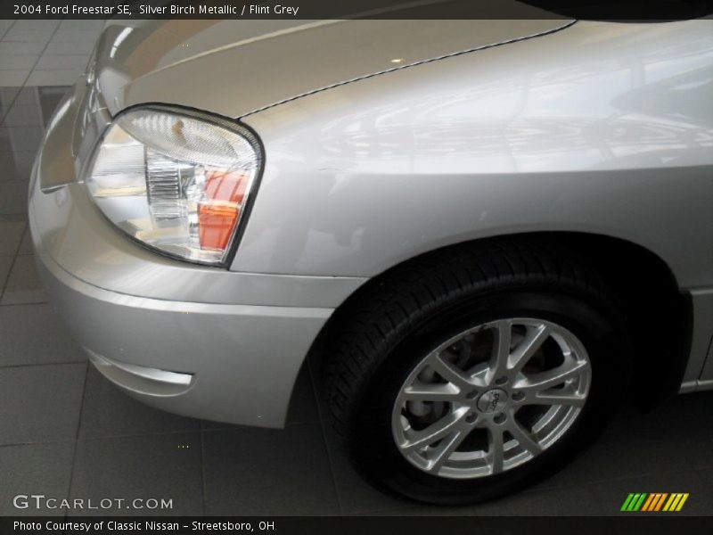 Silver Birch Metallic / Flint Grey 2004 Ford Freestar SE
