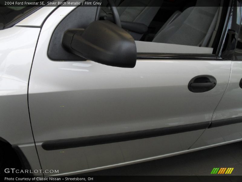 Silver Birch Metallic / Flint Grey 2004 Ford Freestar SE