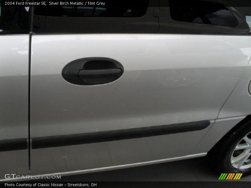 Silver Birch Metallic / Flint Grey 2004 Ford Freestar SE
