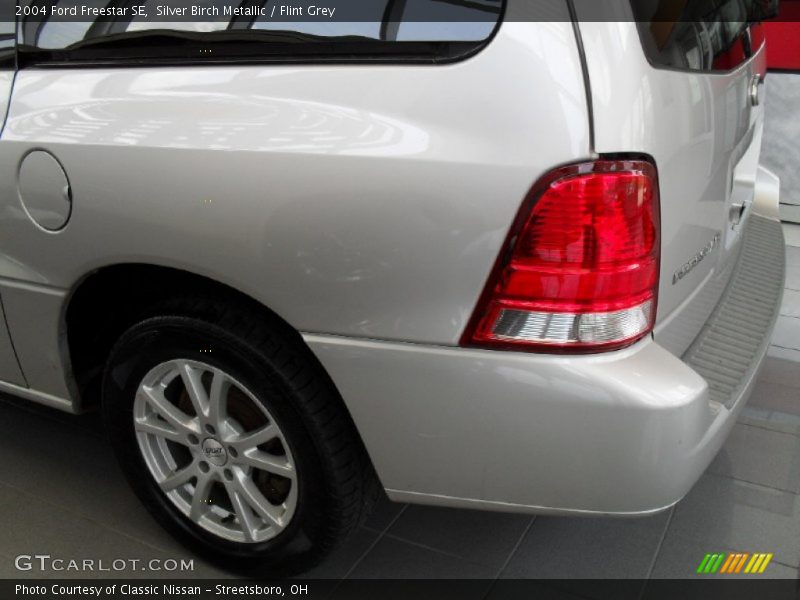 Silver Birch Metallic / Flint Grey 2004 Ford Freestar SE