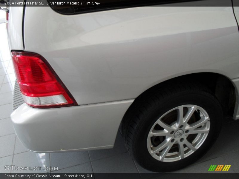 Silver Birch Metallic / Flint Grey 2004 Ford Freestar SE