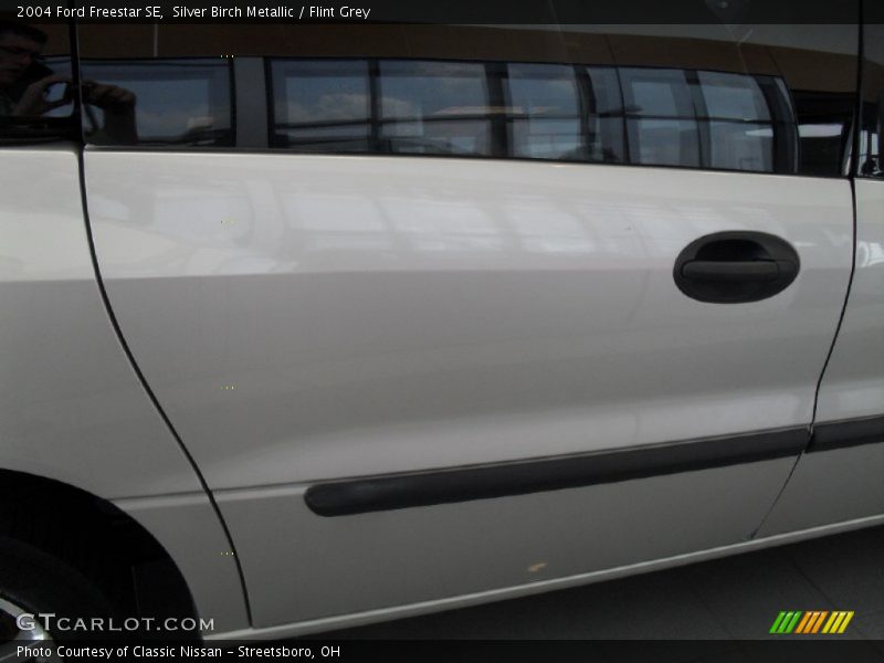 Silver Birch Metallic / Flint Grey 2004 Ford Freestar SE
