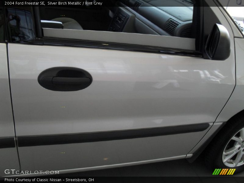Silver Birch Metallic / Flint Grey 2004 Ford Freestar SE