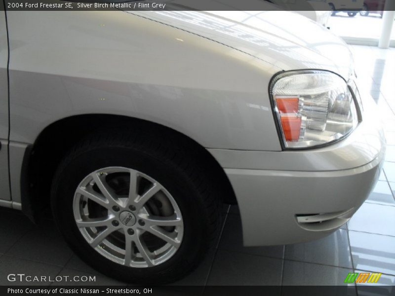 Silver Birch Metallic / Flint Grey 2004 Ford Freestar SE