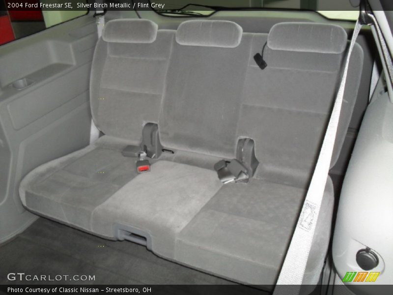 Silver Birch Metallic / Flint Grey 2004 Ford Freestar SE