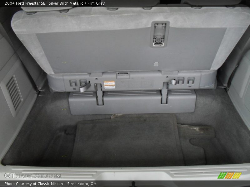 Silver Birch Metallic / Flint Grey 2004 Ford Freestar SE