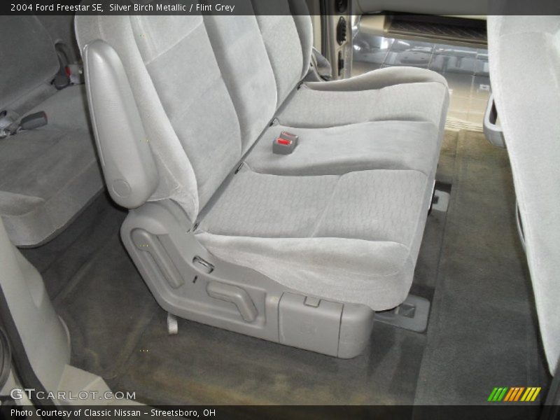 Silver Birch Metallic / Flint Grey 2004 Ford Freestar SE