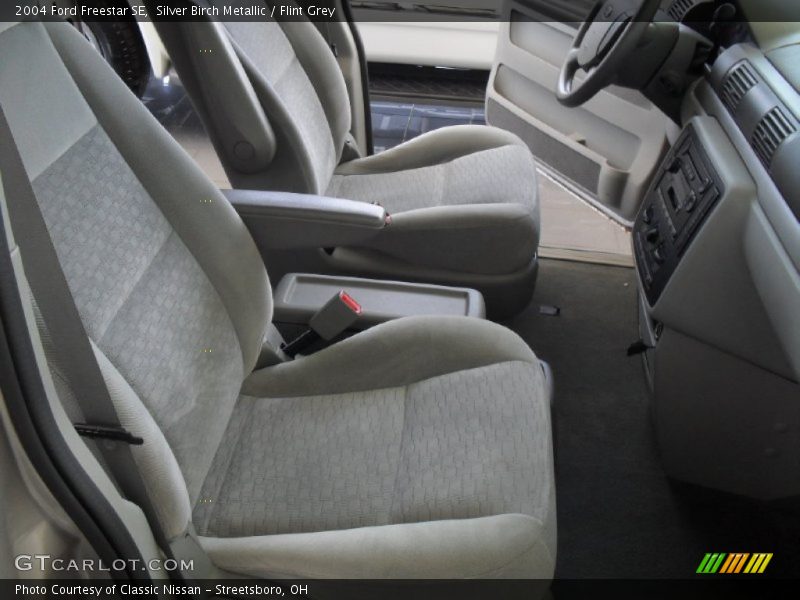 Silver Birch Metallic / Flint Grey 2004 Ford Freestar SE