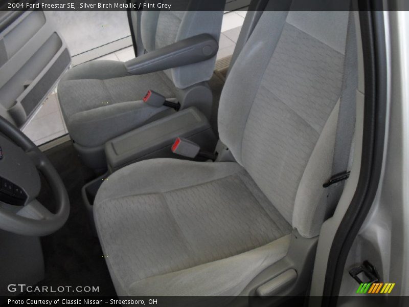 Silver Birch Metallic / Flint Grey 2004 Ford Freestar SE