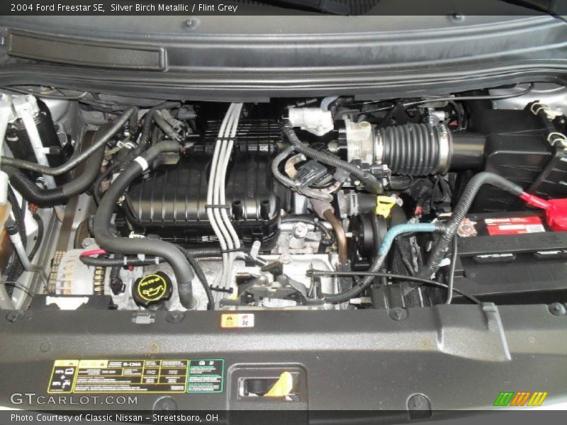 Silver Birch Metallic / Flint Grey 2004 Ford Freestar SE
