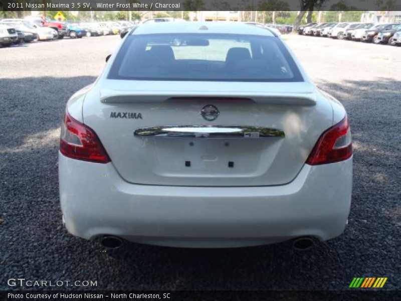 Winter Frost White / Charcoal 2011 Nissan Maxima 3.5 SV