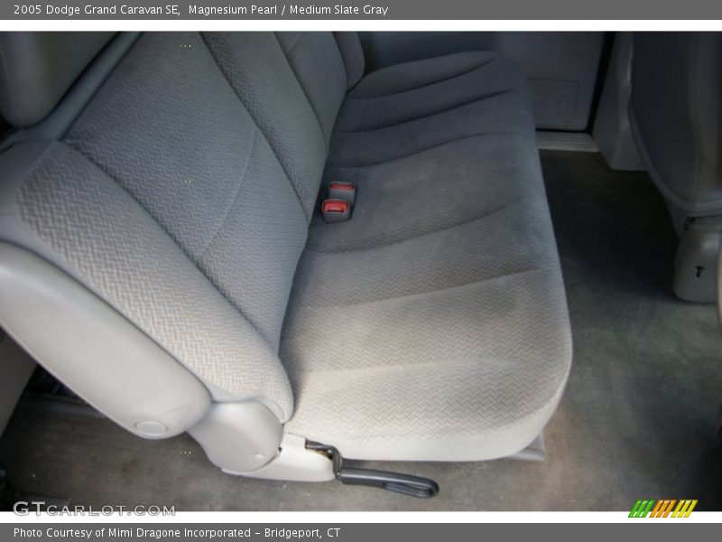 Magnesium Pearl / Medium Slate Gray 2005 Dodge Grand Caravan SE
