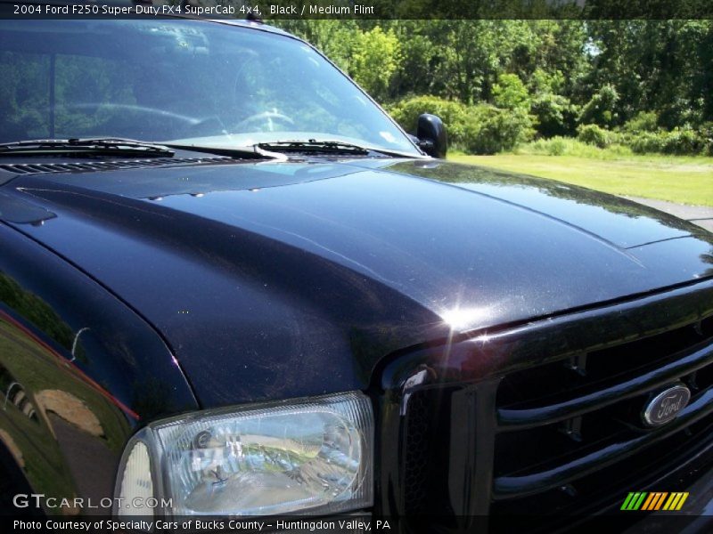 Black / Medium Flint 2004 Ford F250 Super Duty FX4 SuperCab 4x4
