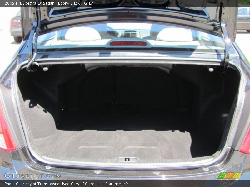Ebony Black / Gray 2009 Kia Spectra EX Sedan