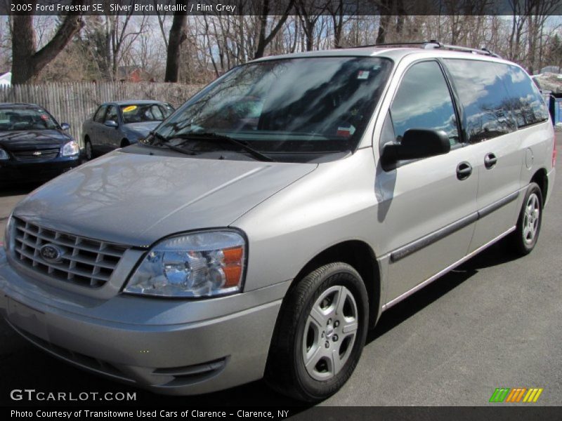 Silver Birch Metallic / Flint Grey 2005 Ford Freestar SE