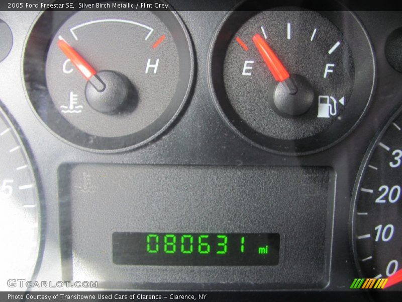 Silver Birch Metallic / Flint Grey 2005 Ford Freestar SE