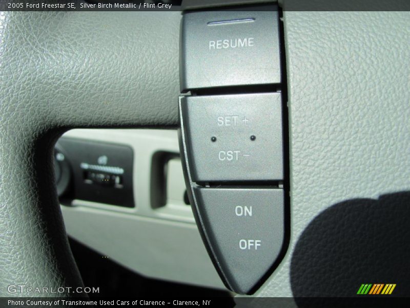 Silver Birch Metallic / Flint Grey 2005 Ford Freestar SE