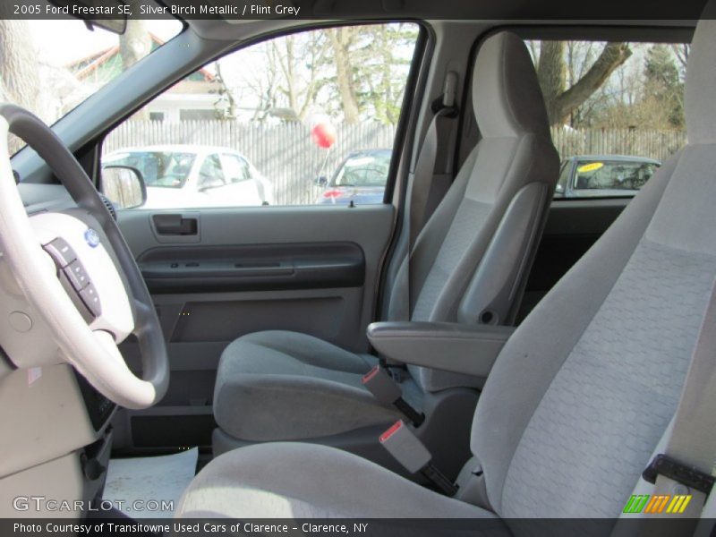 Silver Birch Metallic / Flint Grey 2005 Ford Freestar SE