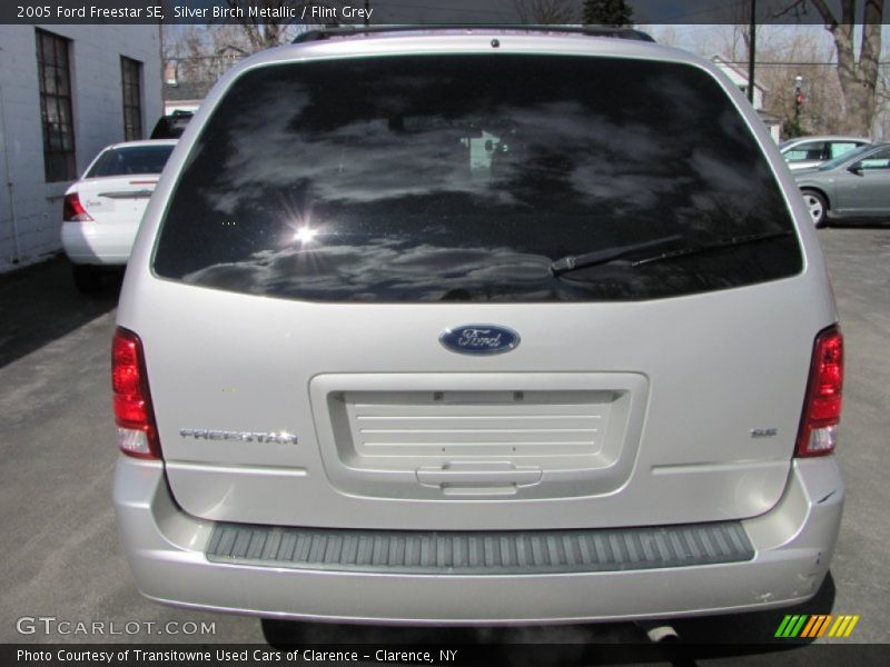 Silver Birch Metallic / Flint Grey 2005 Ford Freestar SE