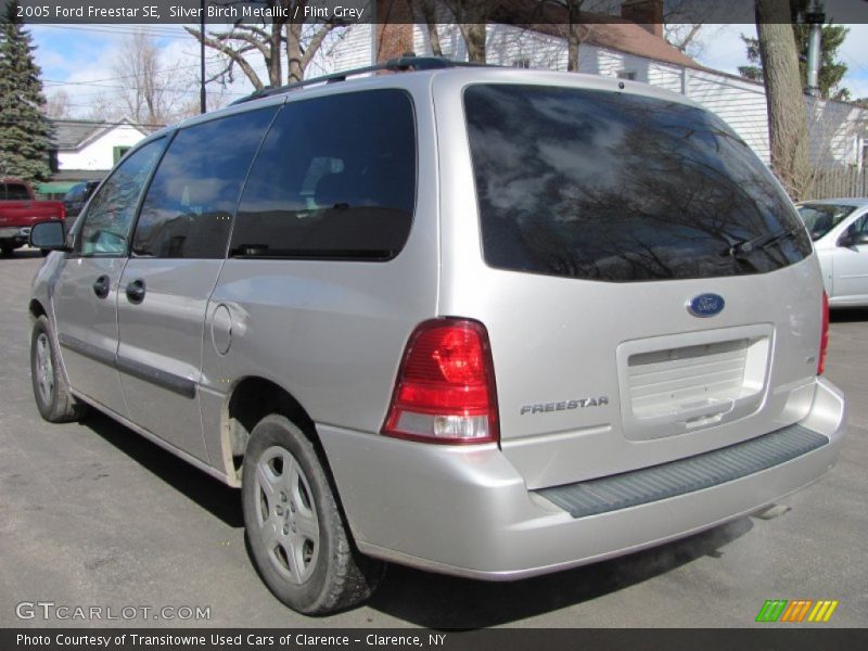 Silver Birch Metallic / Flint Grey 2005 Ford Freestar SE