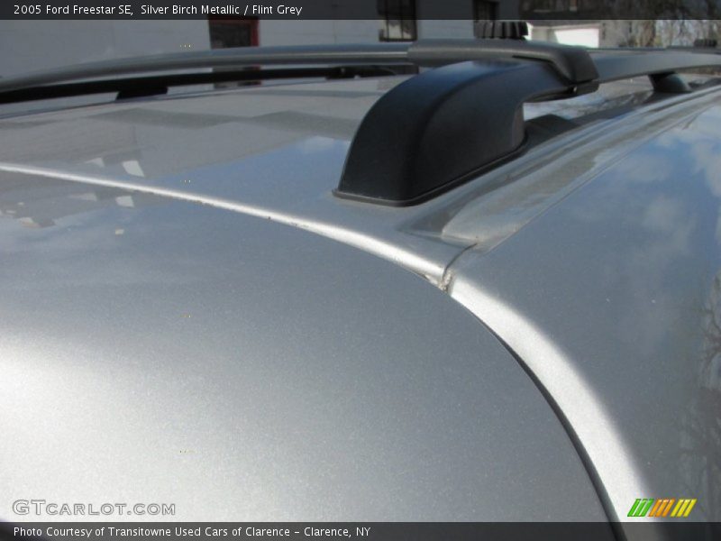 Silver Birch Metallic / Flint Grey 2005 Ford Freestar SE