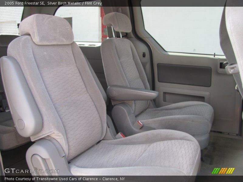 Silver Birch Metallic / Flint Grey 2005 Ford Freestar SE
