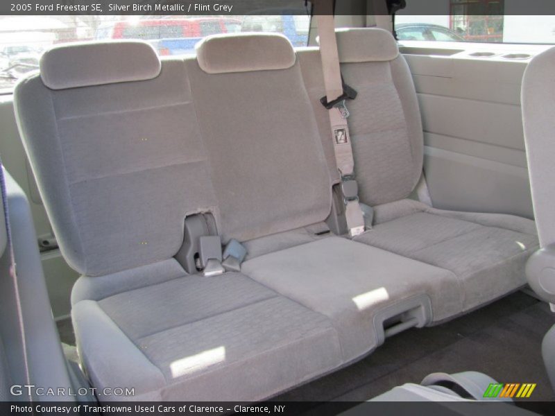 Silver Birch Metallic / Flint Grey 2005 Ford Freestar SE
