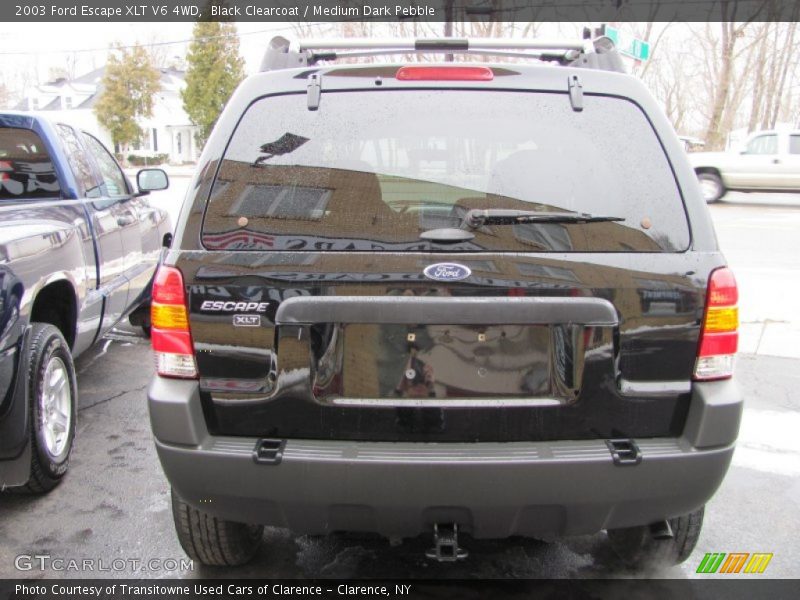 Black Clearcoat / Medium Dark Pebble 2003 Ford Escape XLT V6 4WD