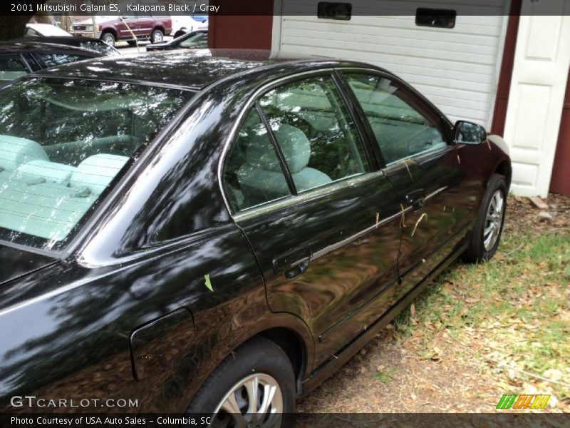 Kalapana Black / Gray 2001 Mitsubishi Galant ES