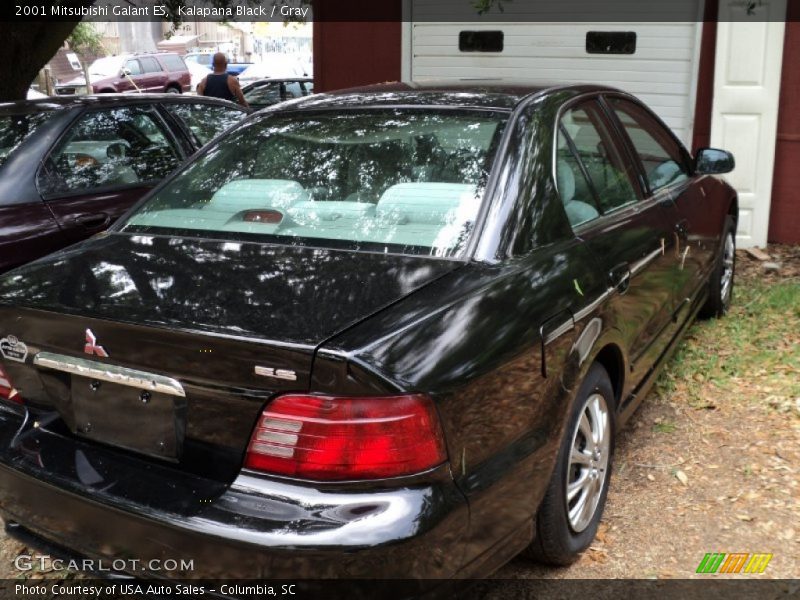 Kalapana Black / Gray 2001 Mitsubishi Galant ES