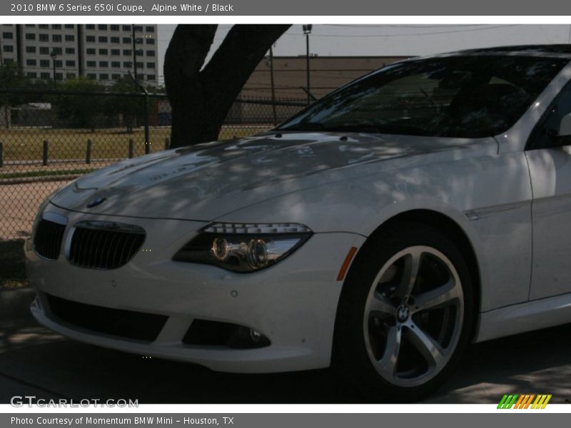 Alpine White / Black 2010 BMW 6 Series 650i Coupe