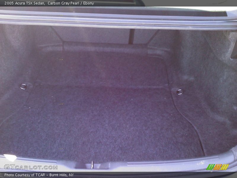 Carbon Gray Pearl / Ebony 2005 Acura TSX Sedan