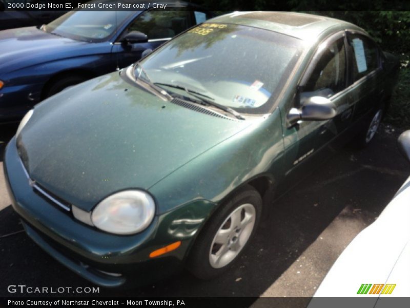 Forest Green Pearlcoat / Gray 2000 Dodge Neon ES