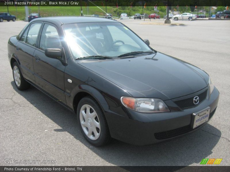 Black Mica / Gray 2003 Mazda Protege DX